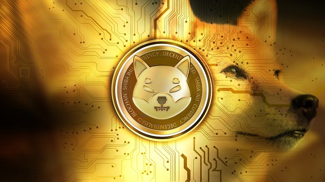 shiba inu crypto