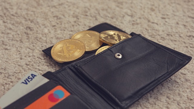 visa crypto consulting services