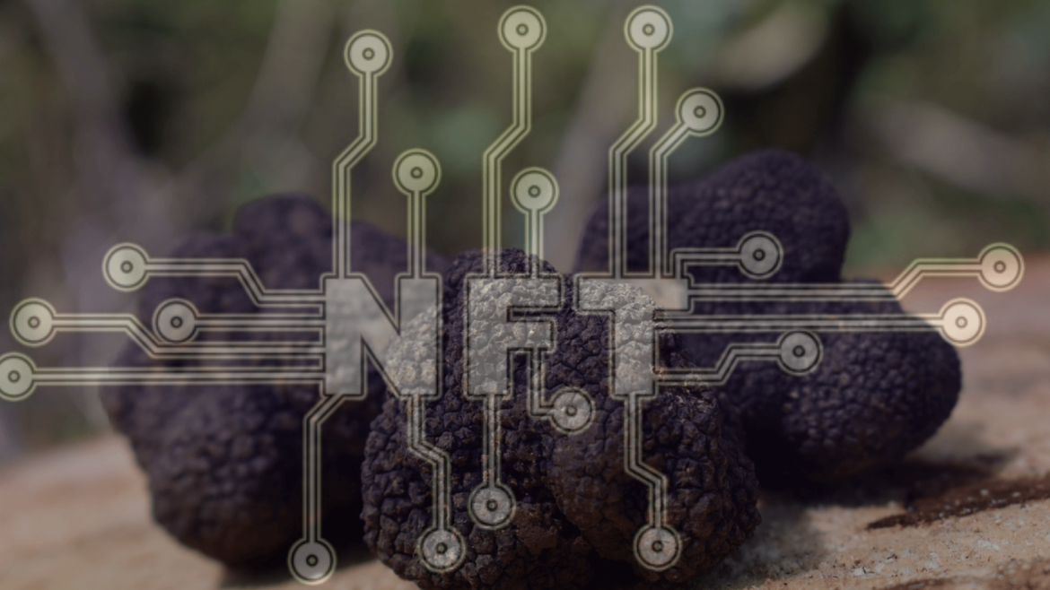 black truffle nft