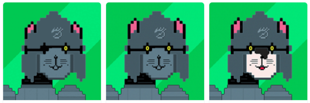 alpha cat nfts