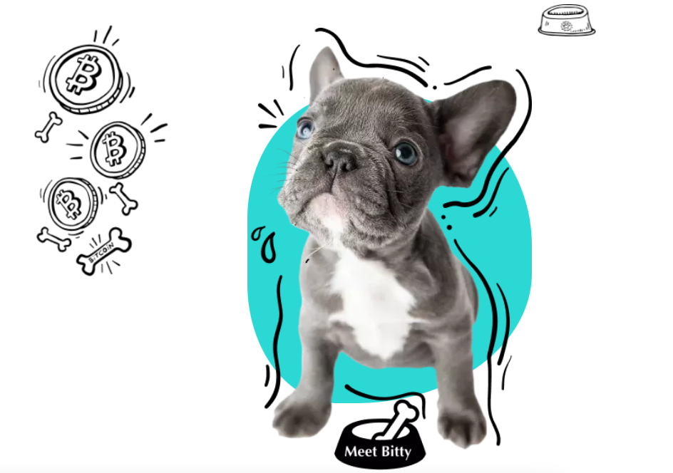 puppies nfts adopt
