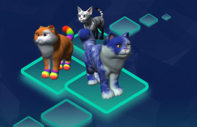 petaverse network metaverse