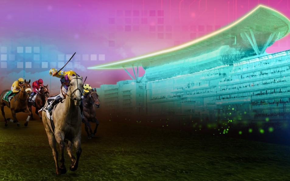 dubai racing horse nft collection