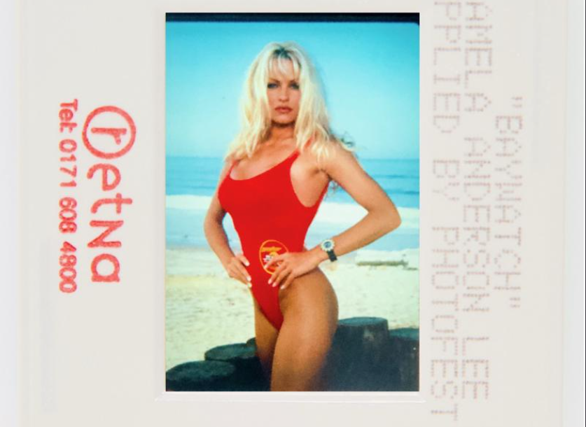 pamela anderson photo nft
