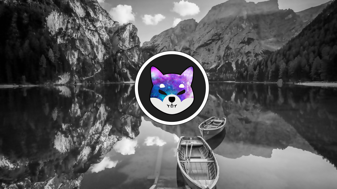 shiba inu metaverse rocket pond hub metaverse