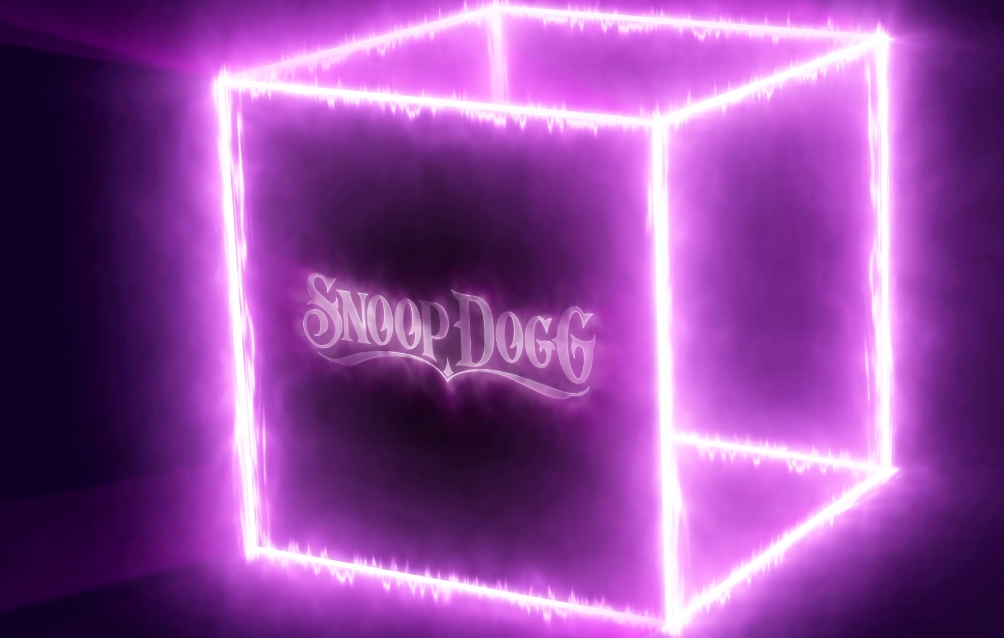 snoop dogg nft passport tour