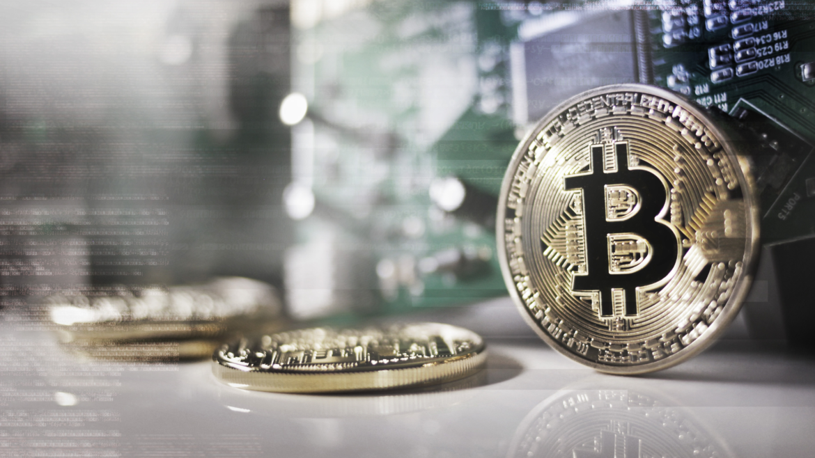 bitcoin risk reward fidelity