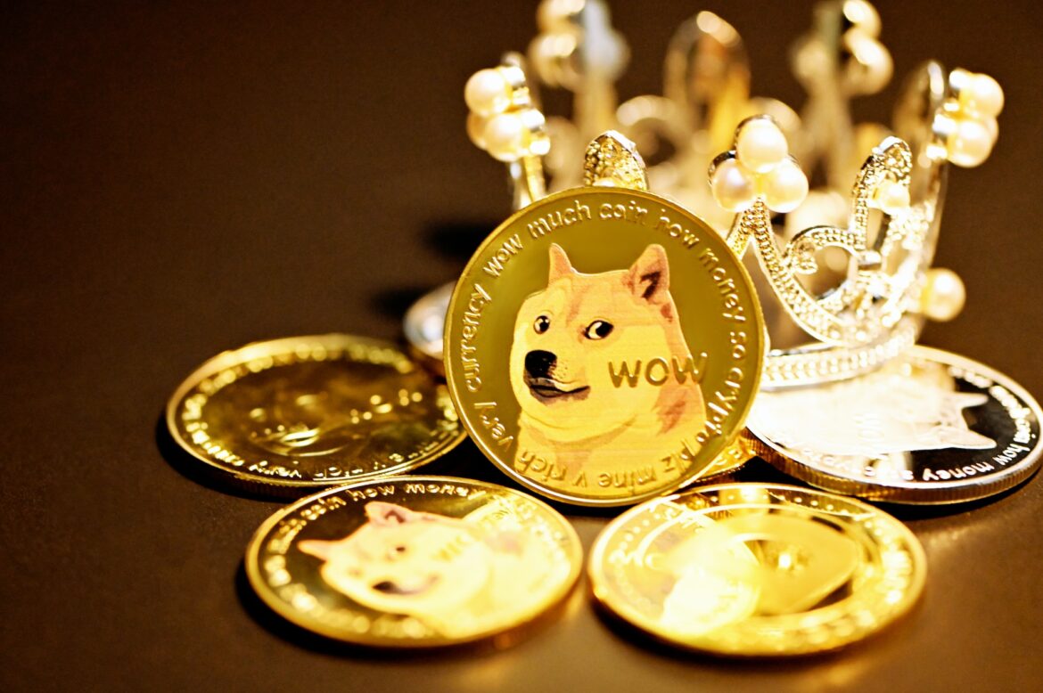 dogecoin netflix investment