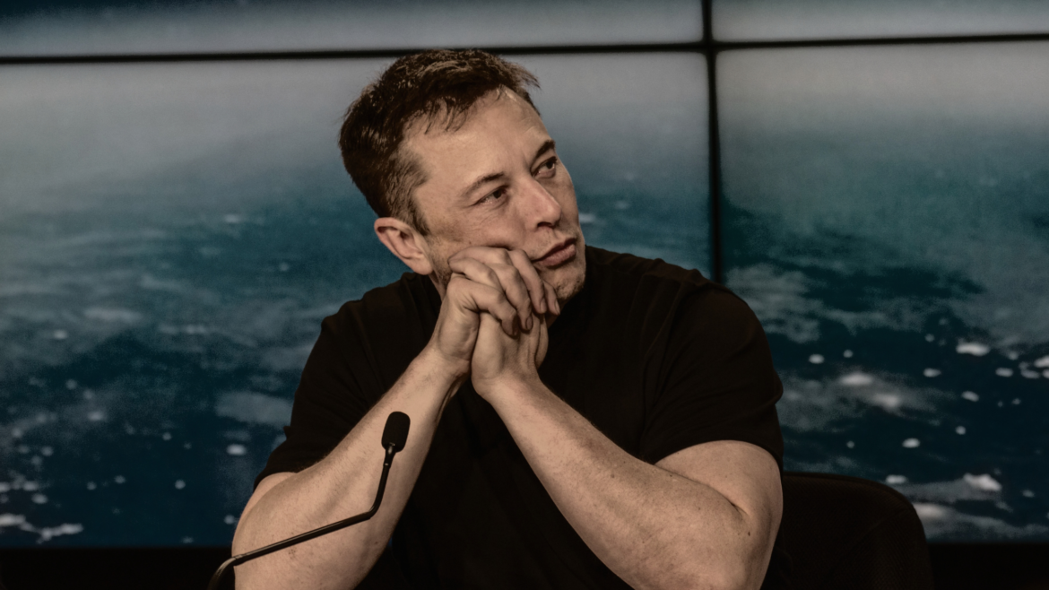 elon musk nft bitcoin ordinals