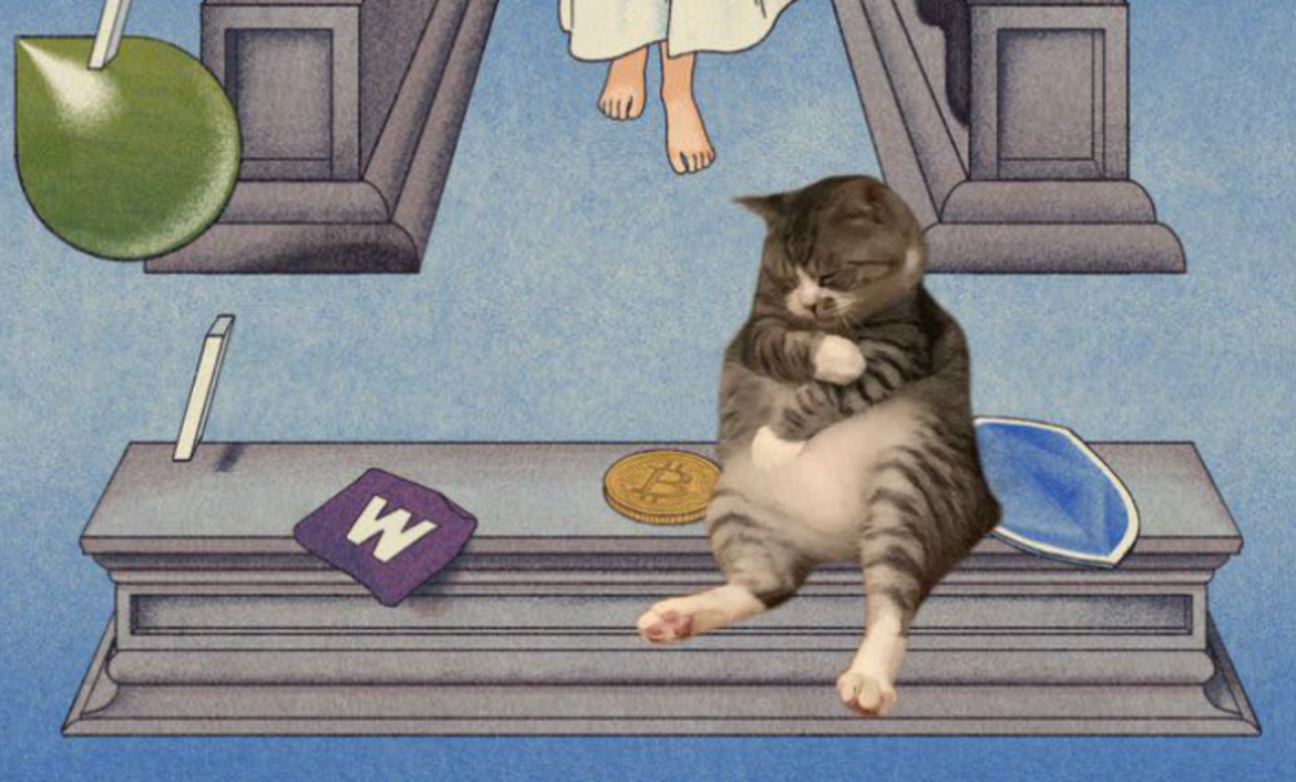 meow memecoin trader profit