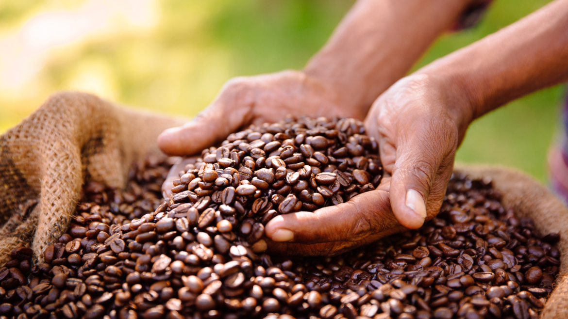 telefonica harvverse nfts coffee farmers