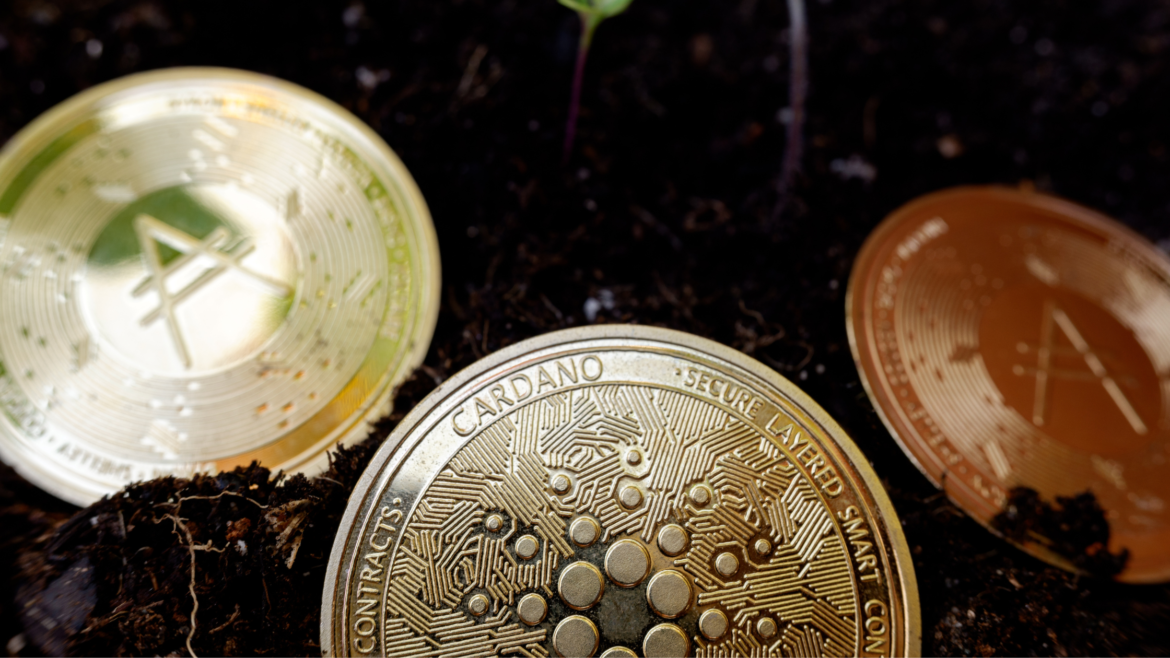 cardano alternative altcoins 2024